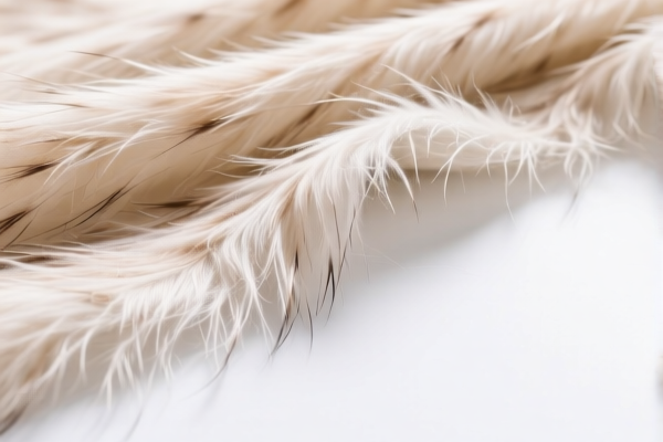 Lightweight Fine Animal Hair Decorative Fabric