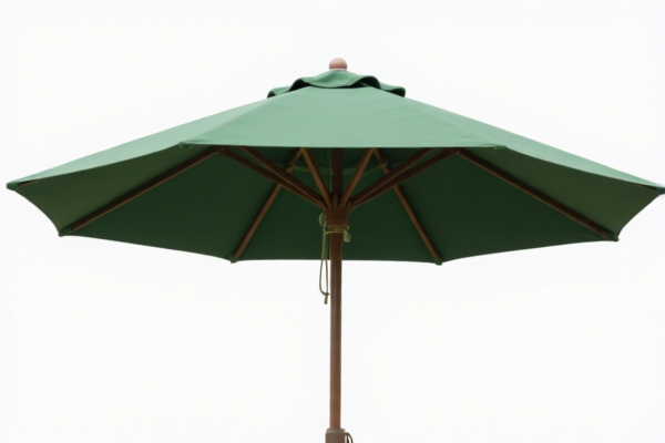 Image for WALKING STICKS