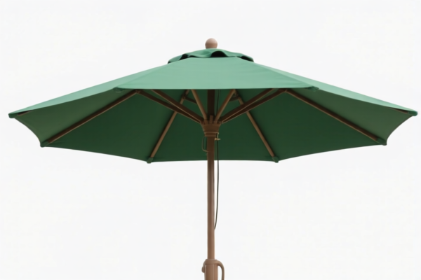 Image for WALKING STICKS
