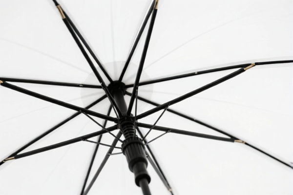 Umbrella Ribs