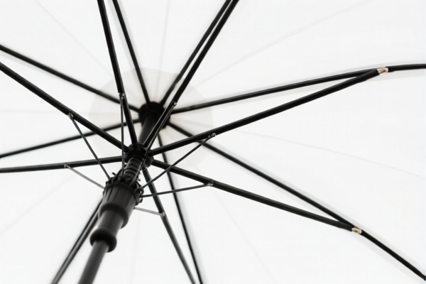 Umbrella Ribs