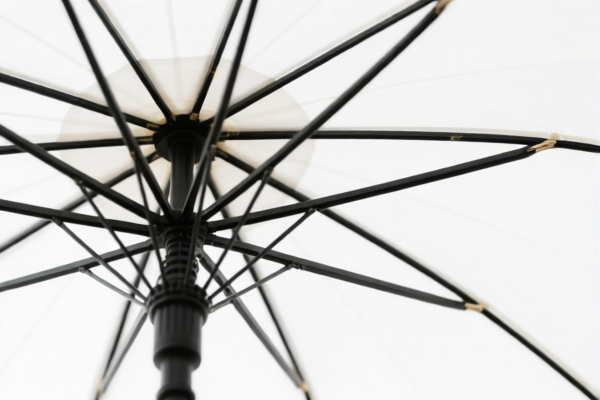 Umbrella Ribs