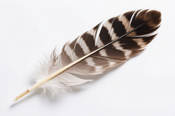 Craft Feathers