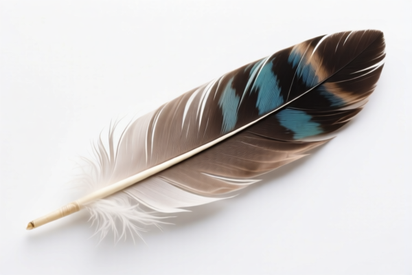 Craft Feathers
