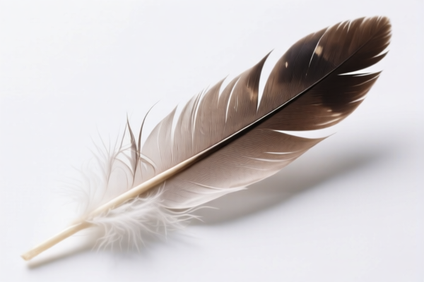 Feather Filling