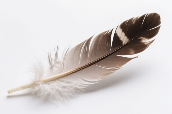 Feather Filling