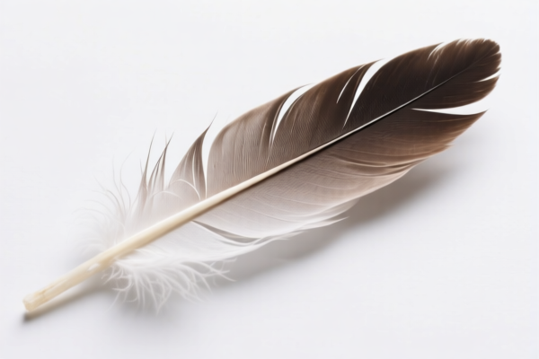Feather Filling