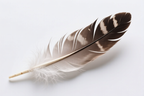Feather Filling