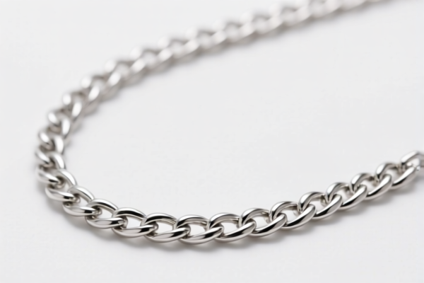 Platinum Clavicle Chain