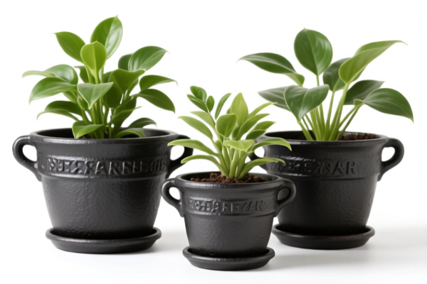 Cast Iron Plant Pots