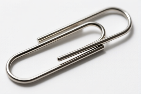 Large Paper Clips