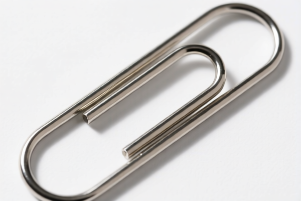Large Paper Clips