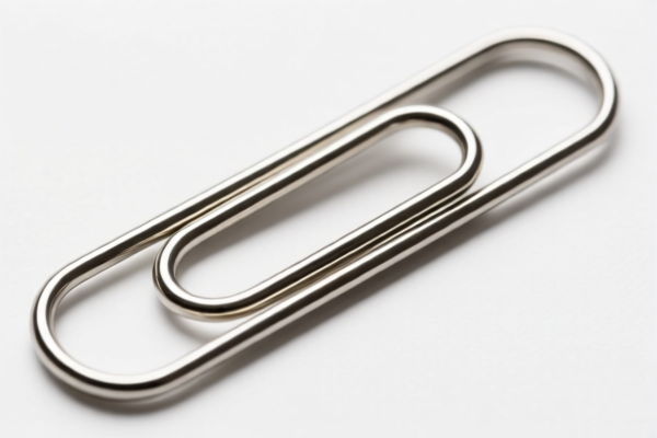 Large Paper Clips