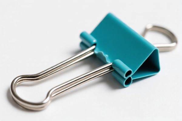 Large Paper Clips