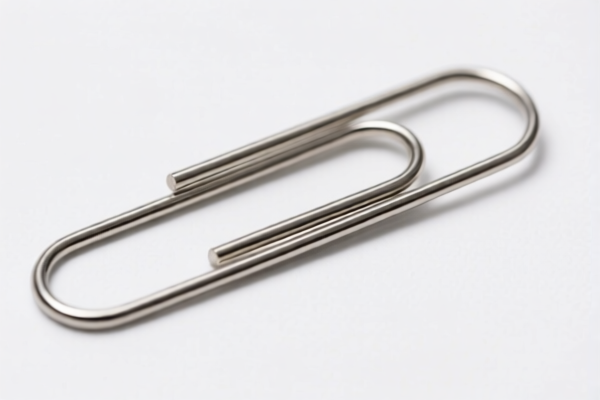 Stainless Steel Paper Clips