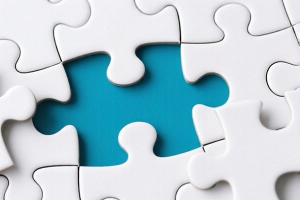 Image for JIGSAW PUZZLE