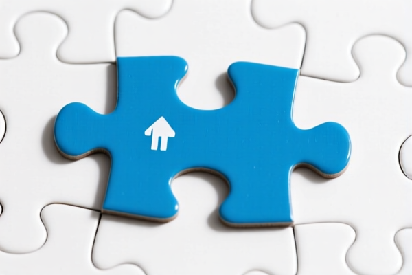 Image for JIGSAW PUZZLE