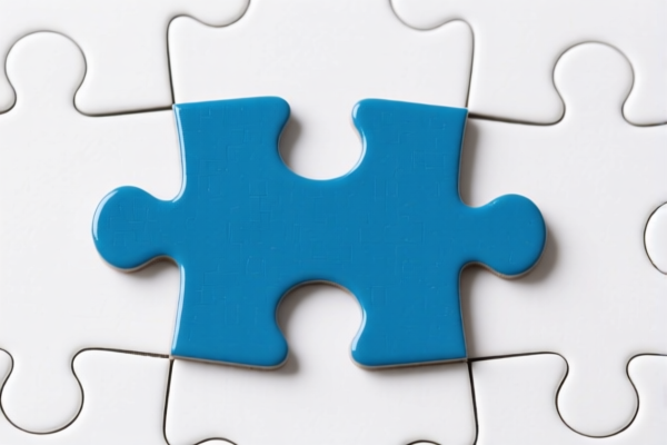Image for JIGSAW PUZZLE