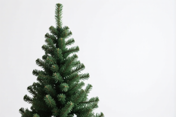 Image for CHRISTMAS STOCKING