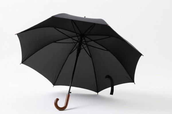 Image for TRANSPARENT UMBRELLA