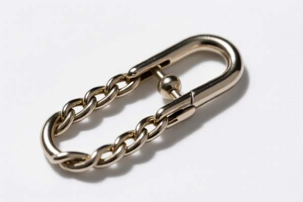 Chain Clip