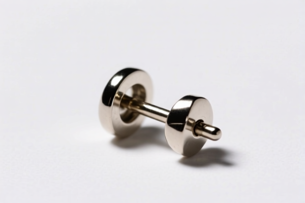 Earring Back