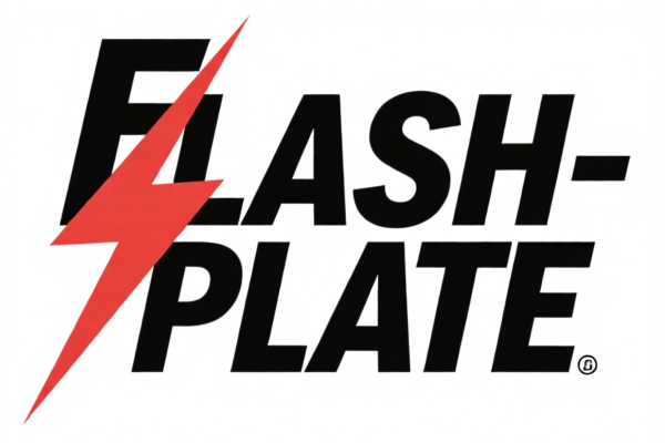 Image for FLASH STICK
