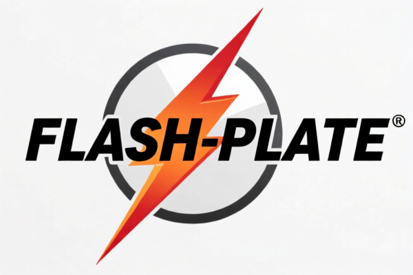 Image for FLASH STICK