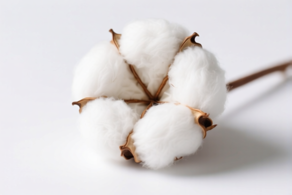 Filter Cotton