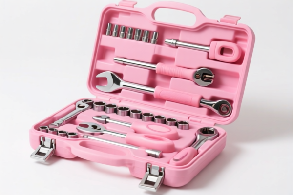 Image for LADIES PINK TOOL KIT