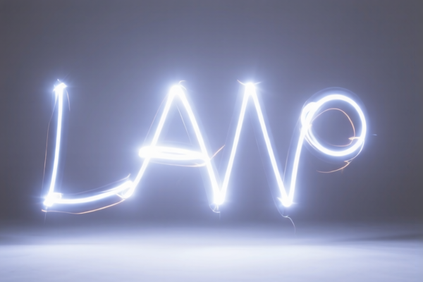 Image for LED LIGHT PAINTING