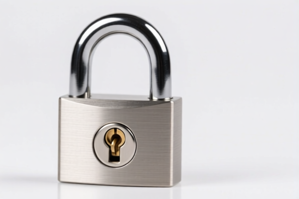 Stainless Steel Plug Lock