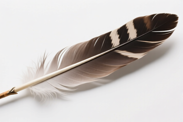 Image for arrow feathers