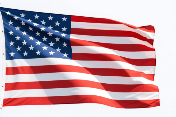 Image for flag